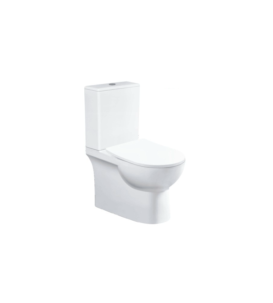 Back To Wall Rimless Toilet