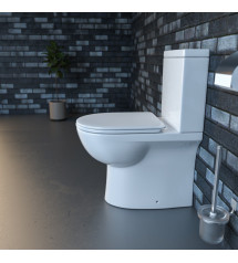 EC-B2358A Back To Wall Rimless Toilet