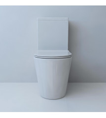 B2303A-2 Back to wall Rimless Toilet