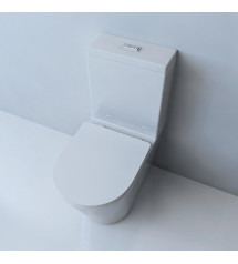 B2303A-2 Back to wall Rimless Toilet